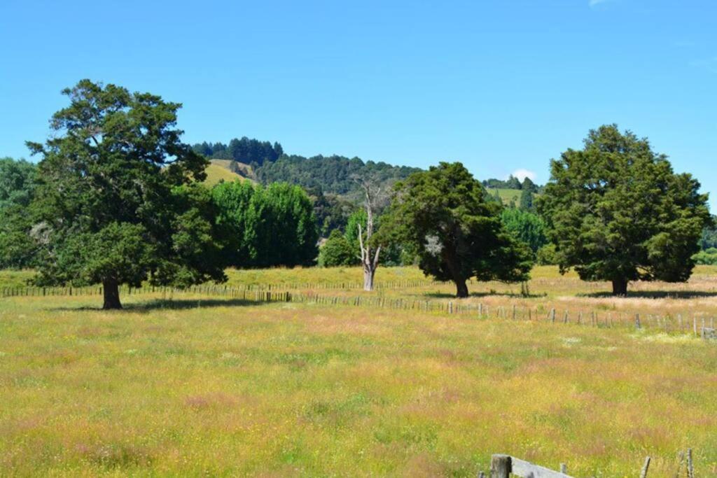 Riverlea Cottage - Cosy, Comfy, Quiet, Central Taumarunui Luaran gambar