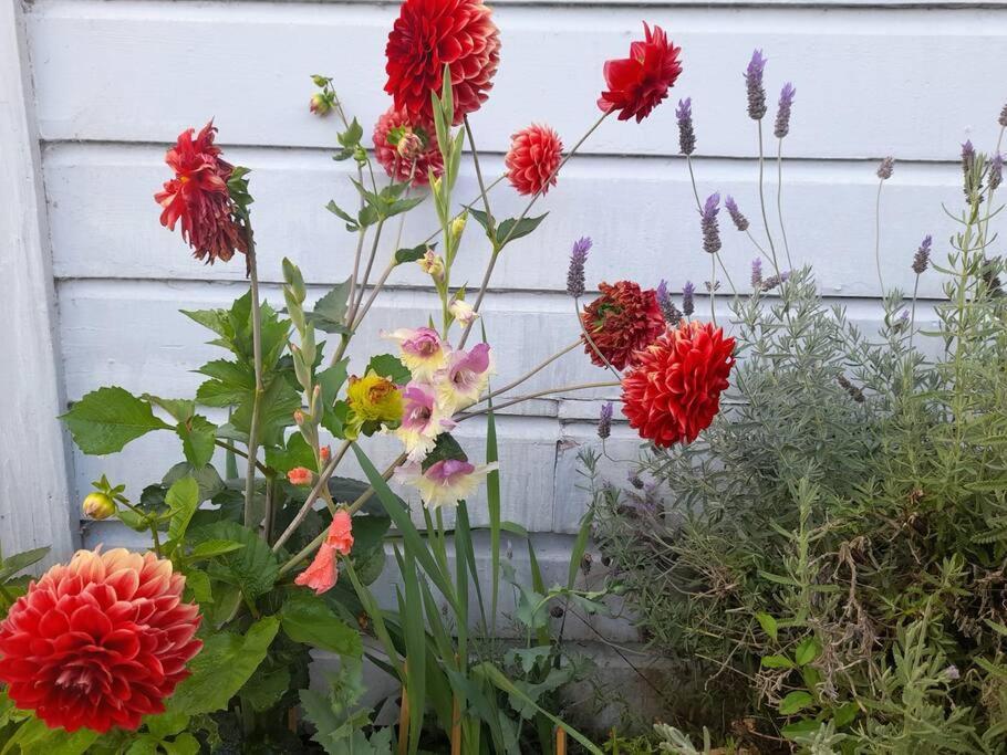 Riverlea Cottage - Cosy, Comfy, Quiet, Central Taumarunui Luaran gambar