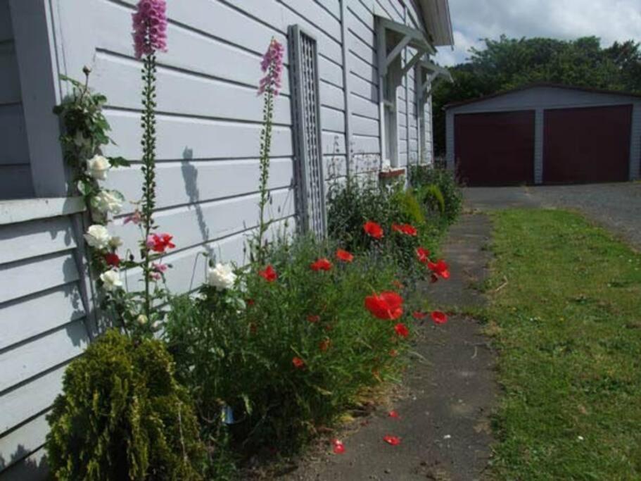 Riverlea Cottage - Cosy, Comfy, Quiet, Central Taumarunui Luaran gambar